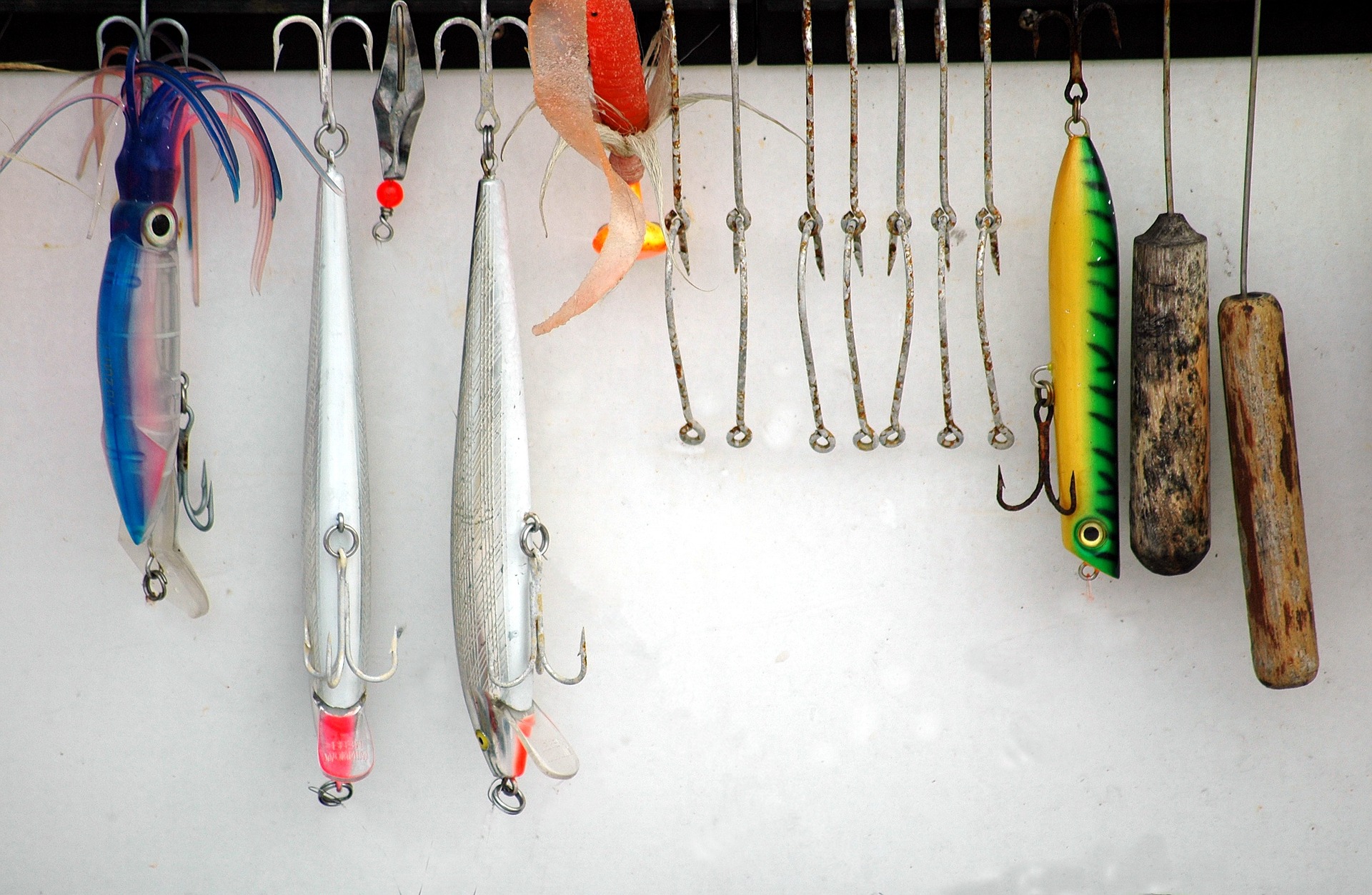 Stage de pêche aux carnassiers, perfectionnement technique tous niveaux